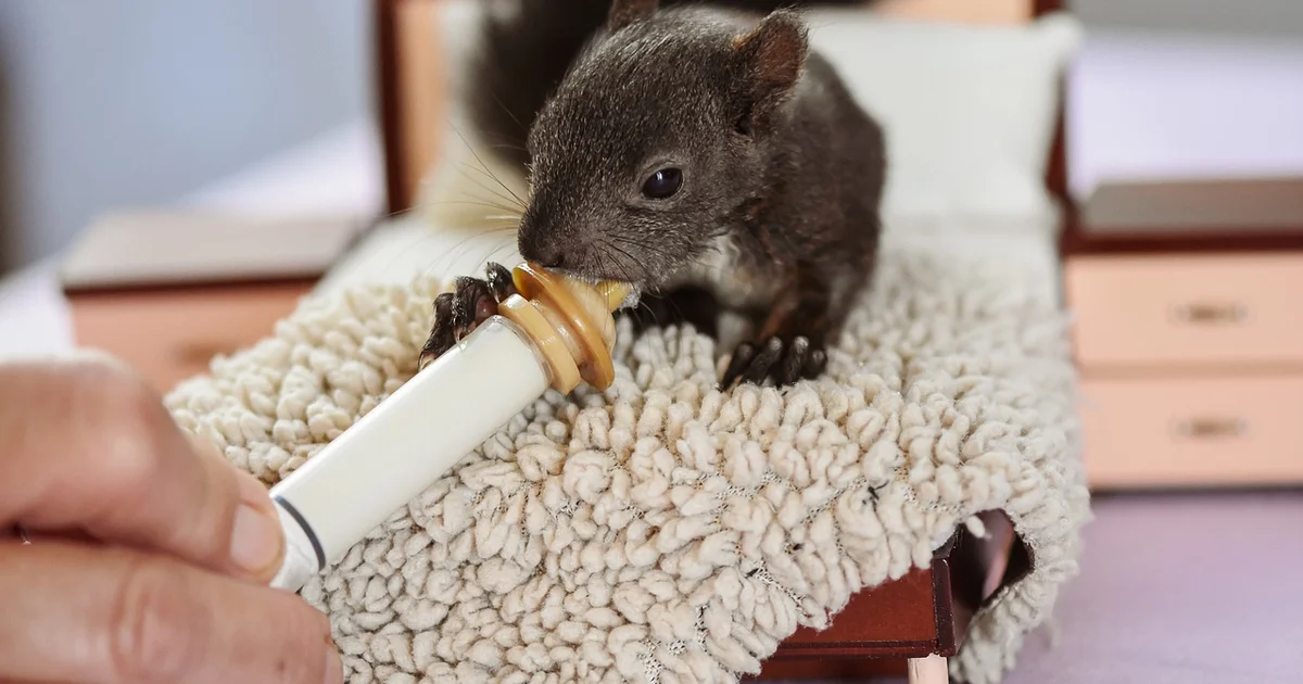 아토피 유아 침구 관리법