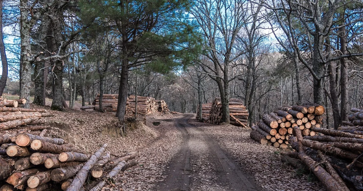 아토피 보습 순서