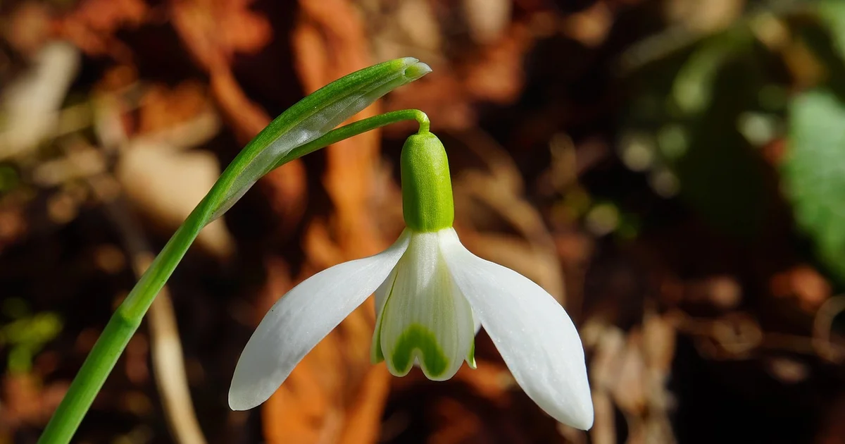 영유아 아토피 초기 증상