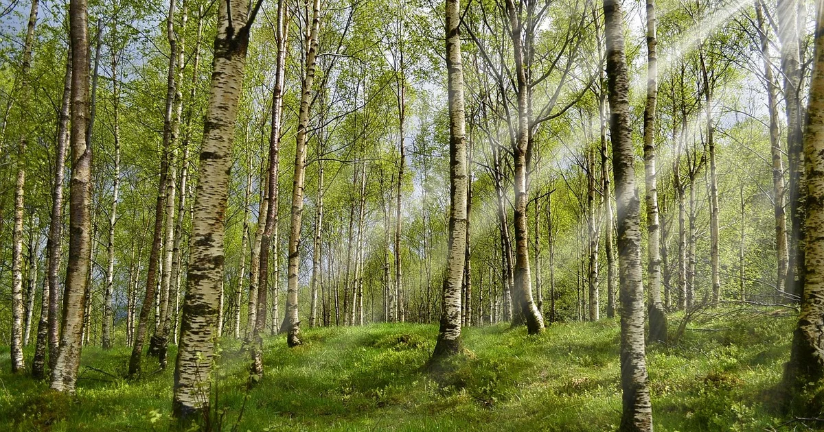 봄 아토피 악화 관리