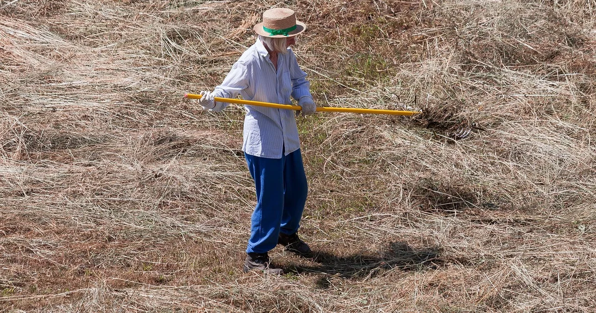 여름 아토피 관리