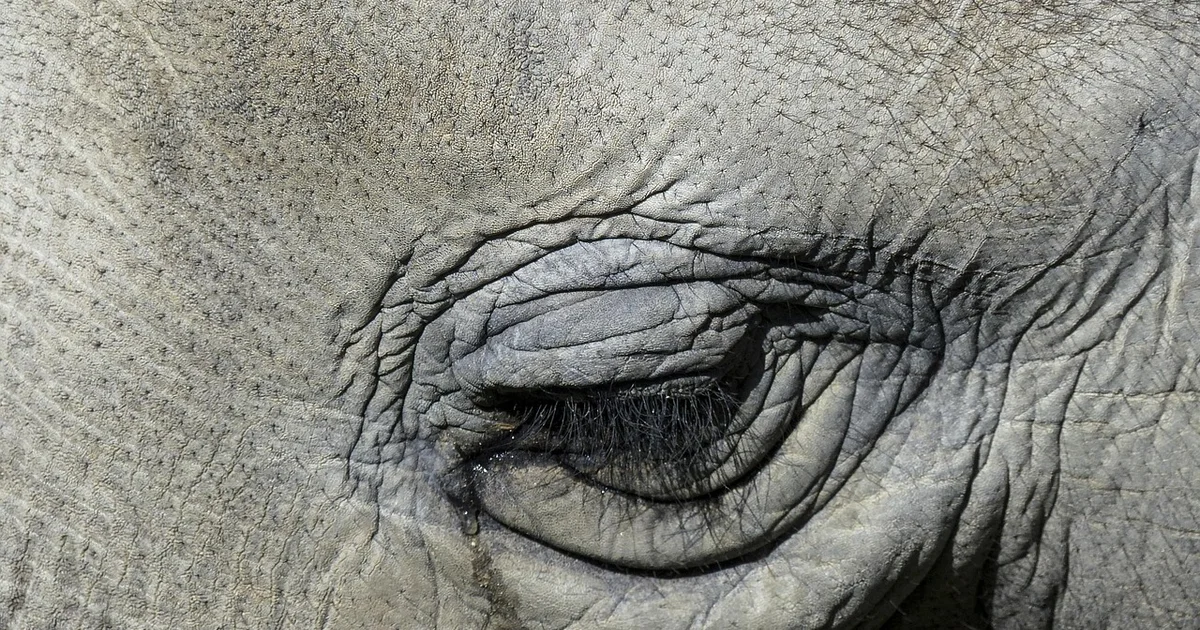 아토피 선크림 추천 성분