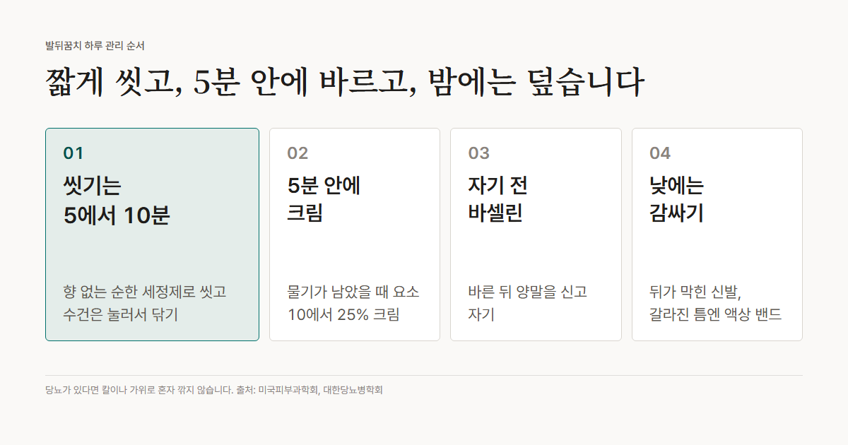 단계 그림: 발뒤꿈치 하루 관리 순서. 1 씻기는 5에서 10분, 향 없는 세정제. 2 물기가 남은 5분 안에 요소 10에서 25% 크림. 3 자기 전 바셀린을 바르고 양말. 4 낮에는 뒤꿈치를 감싸는 신발. 갈라진 틈에는 액상 밴드를 쓸 수 있습니다.