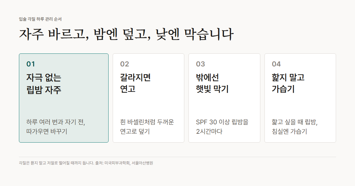 단계 그림: 입술 각질 하루 관리 순서. 1 자극 없는 립밤을 하루 여러 번과 자기 전에. 2 많이 갈라졌으면 흰 바셀린 같은 연고. 3 밖에 나갈 때 자외선 차단 지수 30 이상 립밤을 2시간마다. 4 핥고 싶을 때 립밤, 침실에는 가습기.